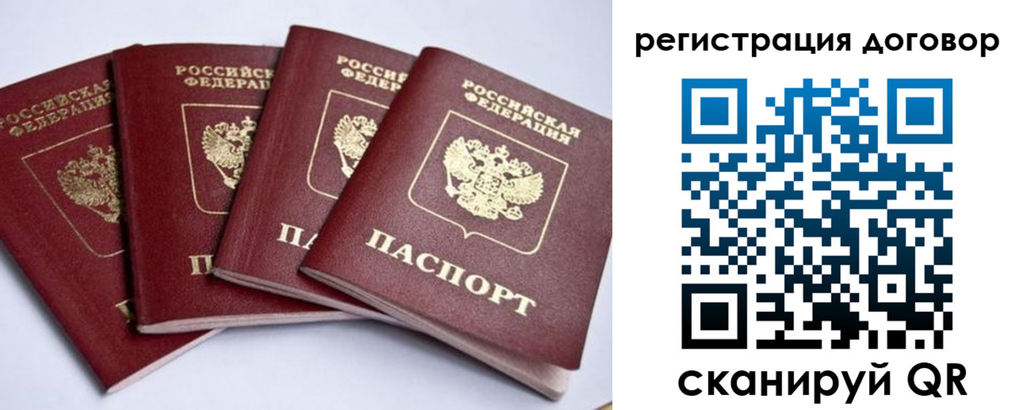 прописка поиск в Смоленской области